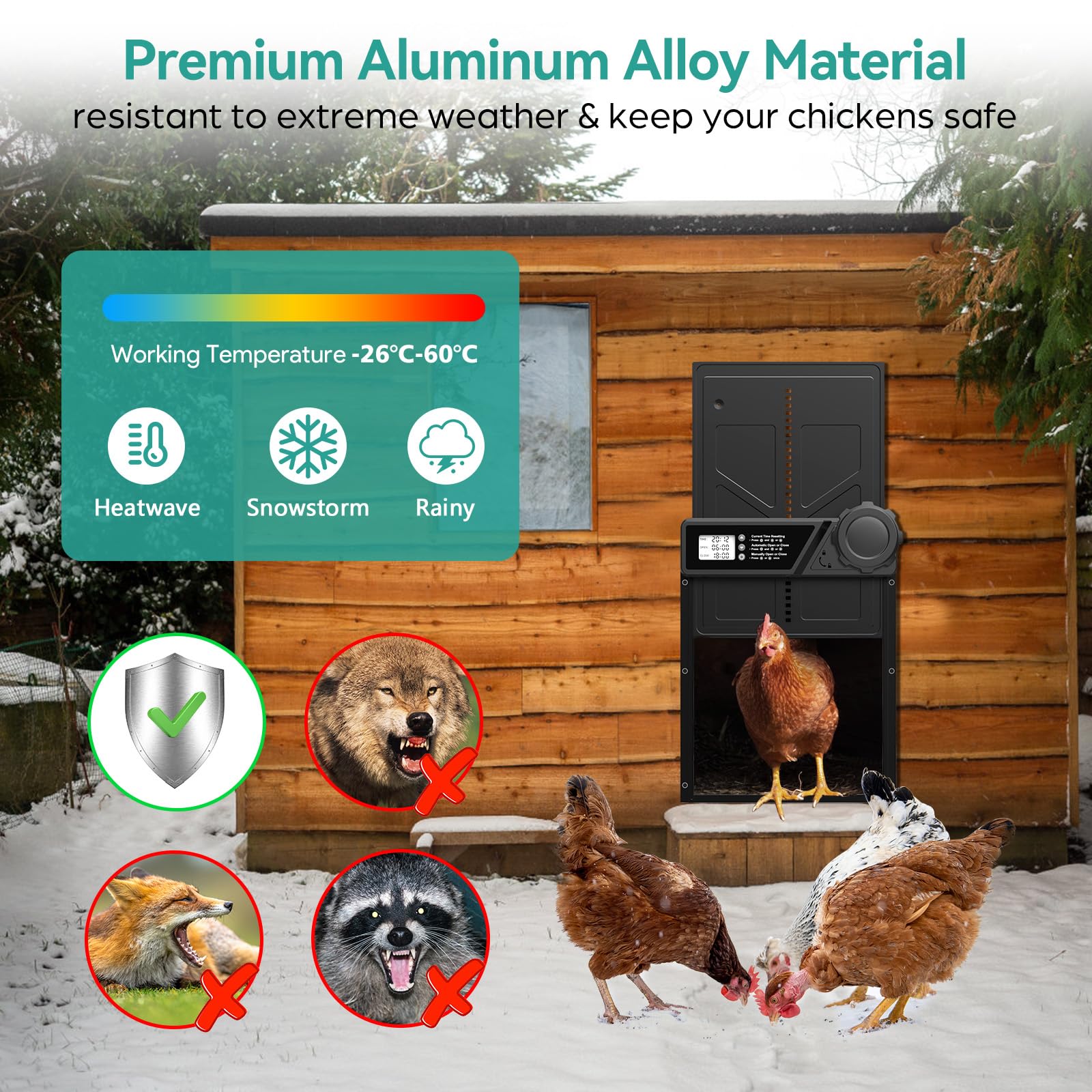 COUTEER Large Automatic Chicken Coop Door, Aluminum Automatic Chicken Door with Manual & Timer Mode, Anti-Pinch & Battery Powered, LCD Display Chicken Door for Chickens, Ducks, and Geese