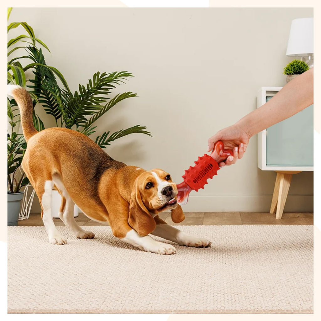 COUTEER Tough Dog Toys for Aggressive Chewers Large Breed, Dog Chew Toys for Aggressive Chewers, Nylon and Rubber, Large Dogs Toys Outdoor Teething