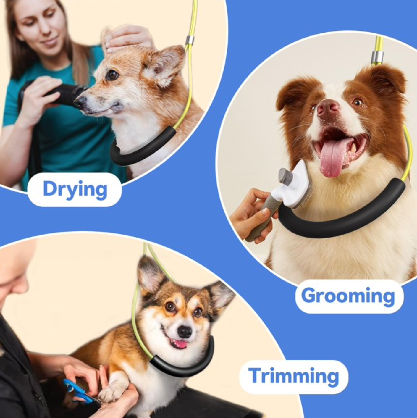 COUTEER Foldable Dog Grooming Arm with Clamp: Adjustable Height 26"-40", Dog Grooming Table Arm with Hammock and No-Sit Holder, Grooming Restraint for Small Medium Dogs at Home or Salon