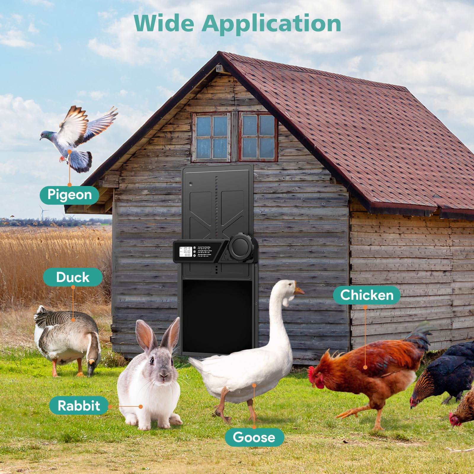 COUTEER Large Automatic Chicken Coop Door, Aluminum Automatic Chicken Door with Manual & Timer Mode, Anti-Pinch & Battery Powered, LCD Display Chicken Door for Chickens, Ducks, and Geese